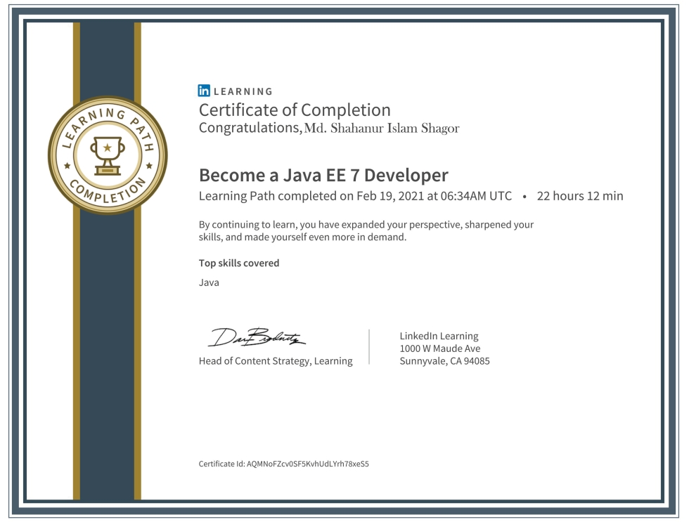 Java EE 7 Developer