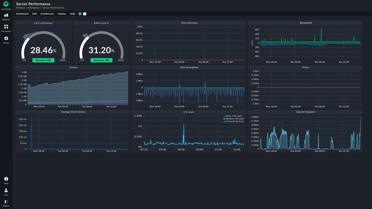Real-Time Server Health Monitoring